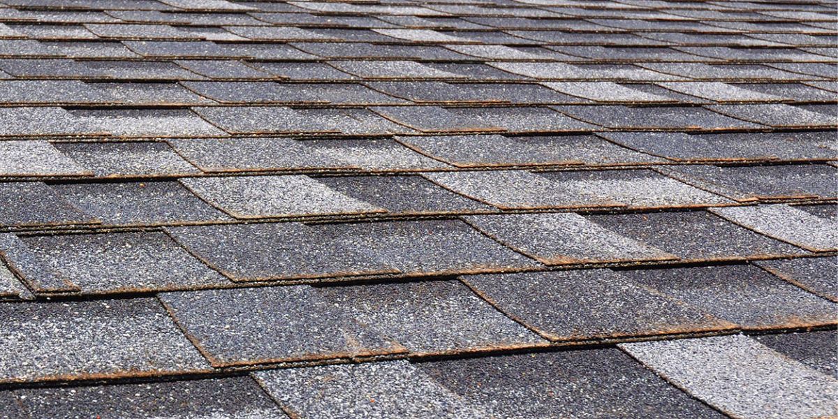 You are currently viewing Types of Multi-Family Roofing Shingles