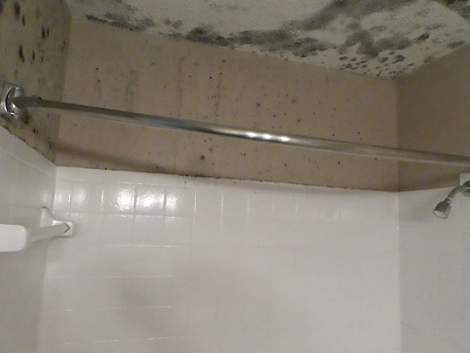 HR Shower Ceiling Mold