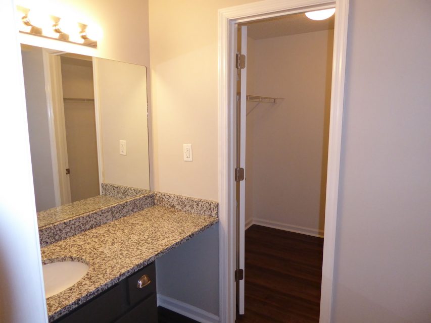 wildforest slider 14 - apartment bathroom countertop cabinet lighting renovation