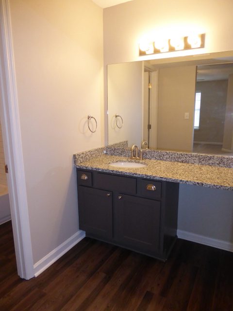 wildforest slider 13 - apartment bathroom lighting countertop vanity bath hardware renovation