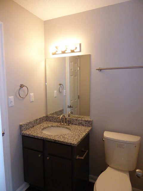 wildforest slider 12 - apartment bathroom lighting renovation