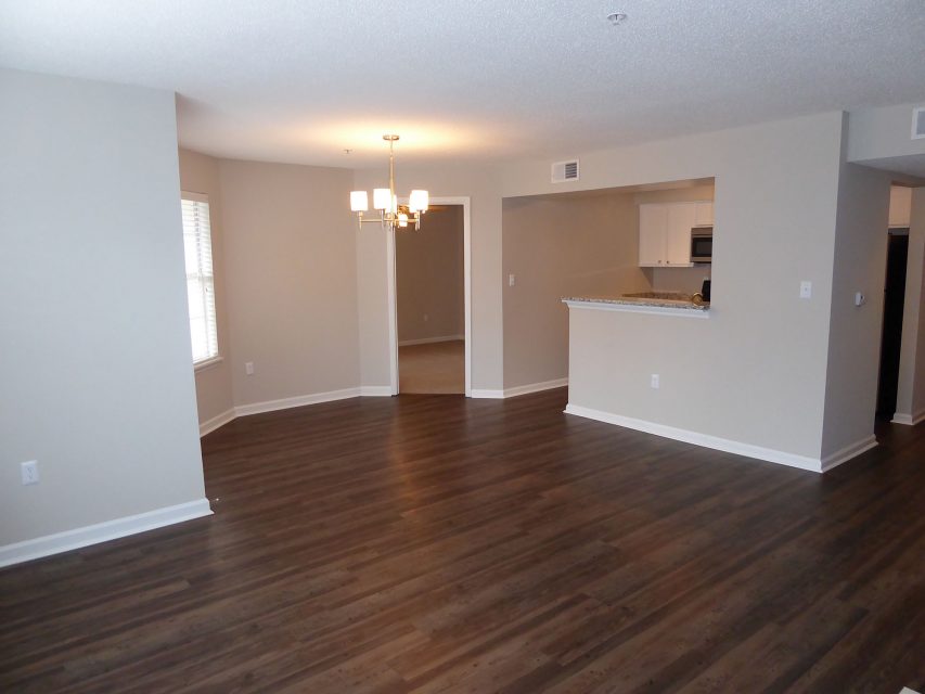 Wildforest 1 and slider 9- apartment living room floor walls lighting renovation