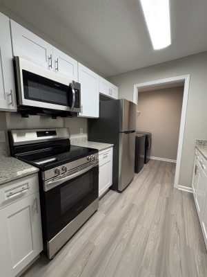 ivy pointe interior kitchen 2